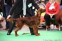 Crufts2011 267